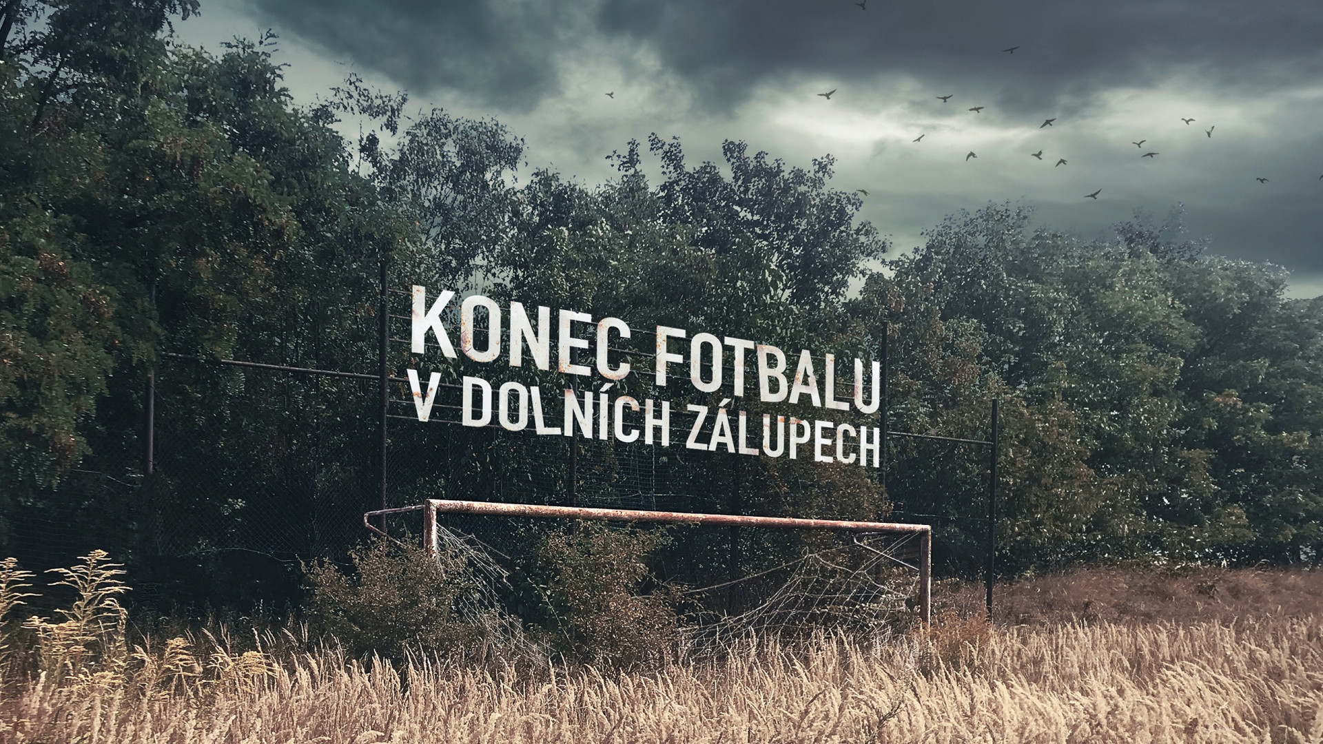Czech amateur football was slowly dying and Gambrinus refused just to watch it go.